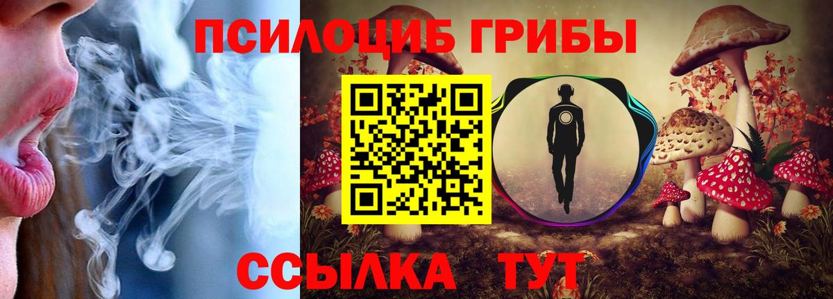 Галлюциногенные грибы Cubensis Сарапул